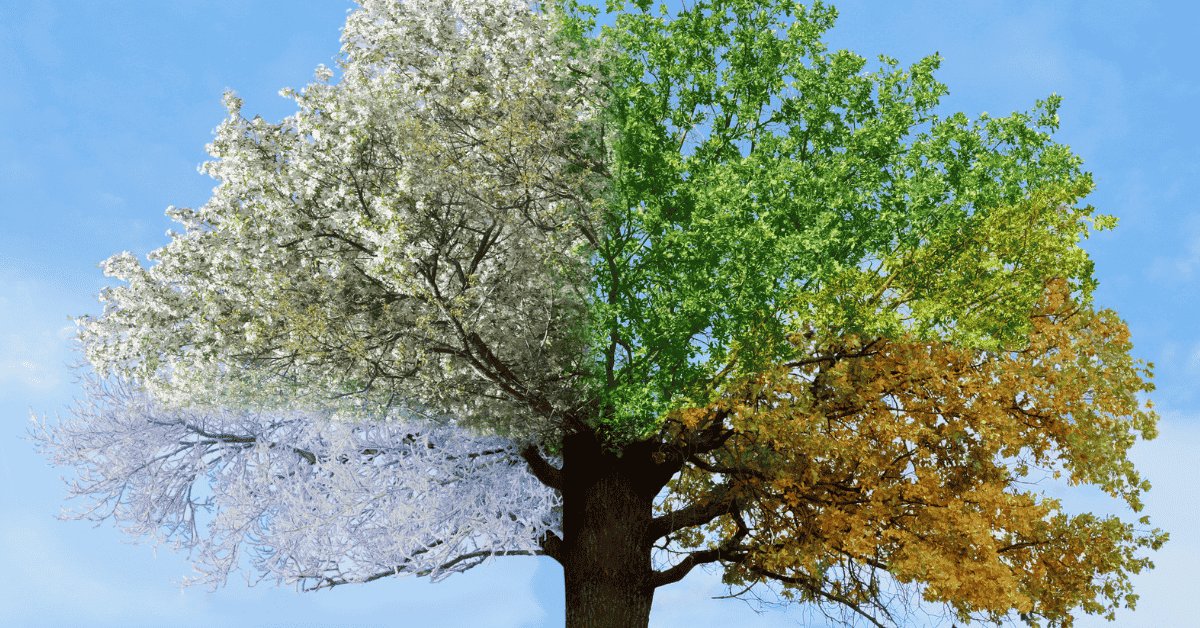 Summer vs. Winter: Does Weather Affect Wound Healing?